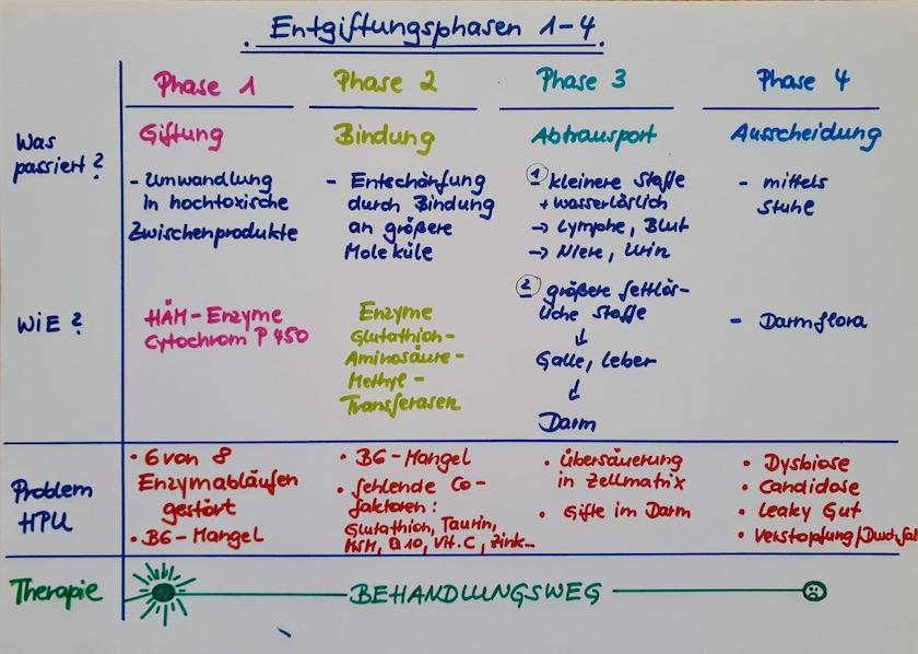 HPU Entgitungsphasen Diagramm2