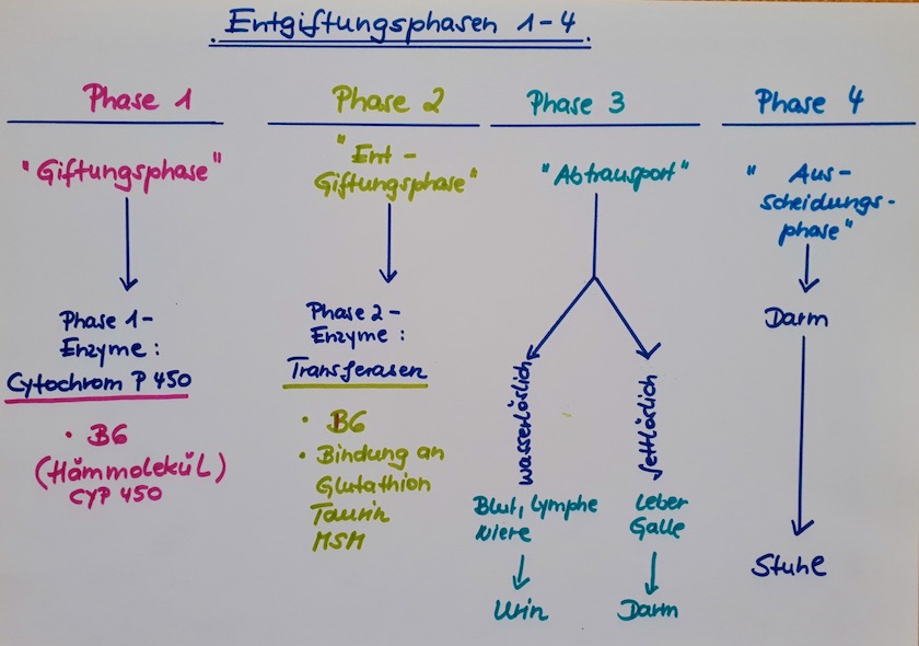 HPU Entgitungsphasen Diagramm1