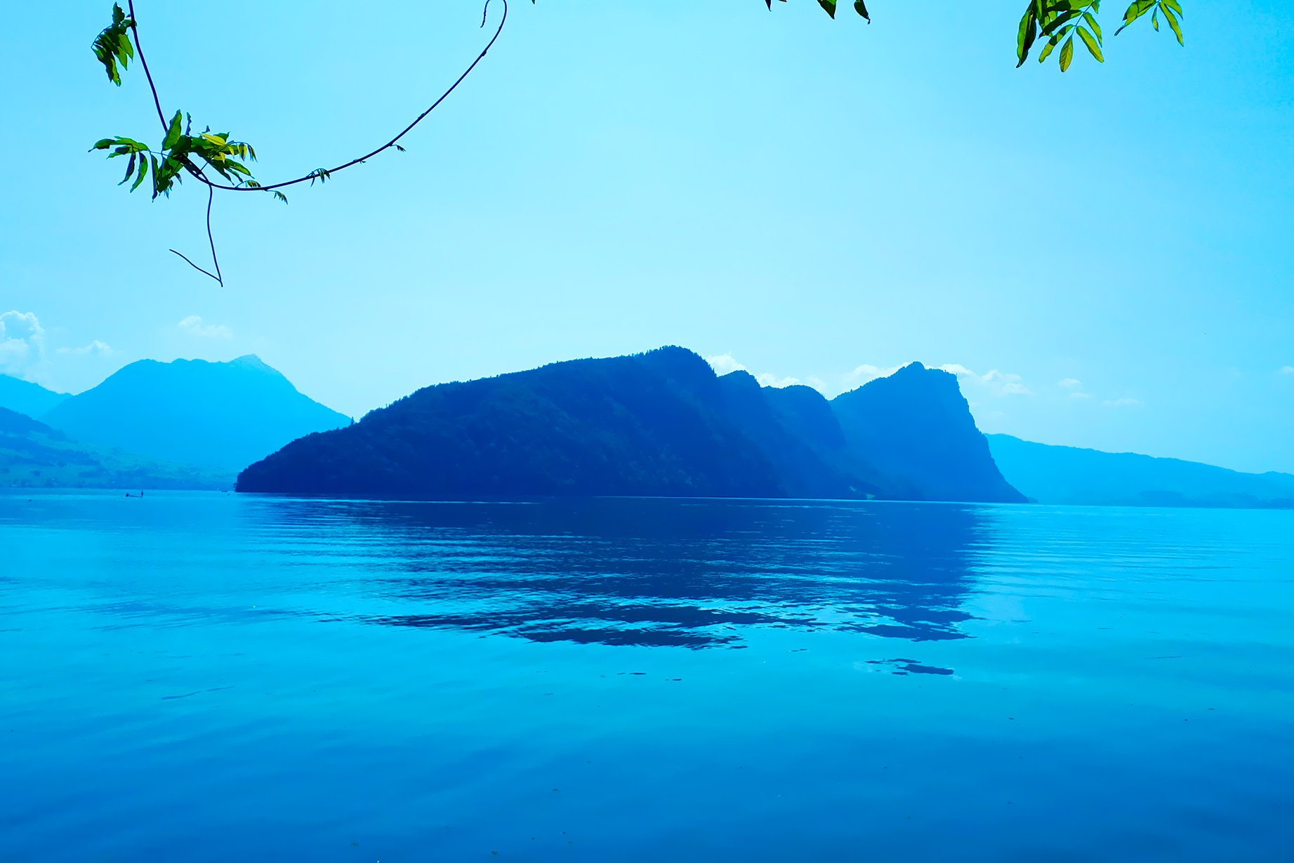 Claudia Brenner Heilmanufaktur Berlin - Wilmersdorf Ayurveda Darmgesundheit Ernährung Yogatherapie Yoga Über Mich